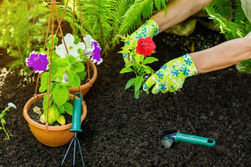 Gardener assessing a garden bed