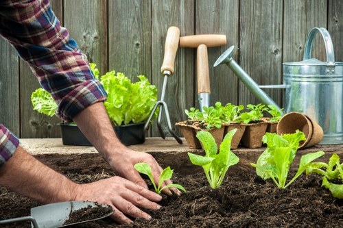 Gardener working in a small Hackney garden, installing decking