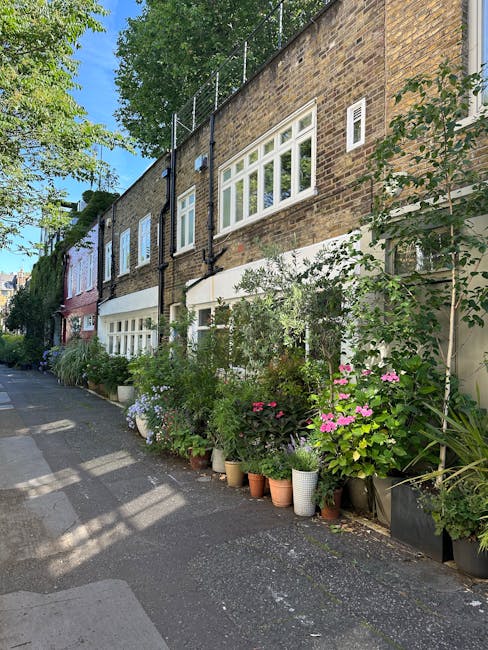 A narrow residential street in London with a row of terraced brick houses featuring large white-framed windows and decorative white architraves. In front of the houses, there is a well-maintained fron